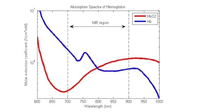 4.webp