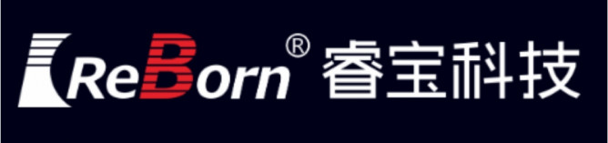 睿宝电子LOGO